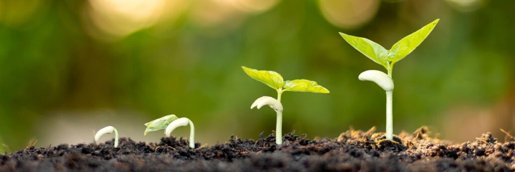 Stages of Business Growth